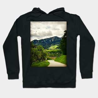 Country Village in Austria Hoodie